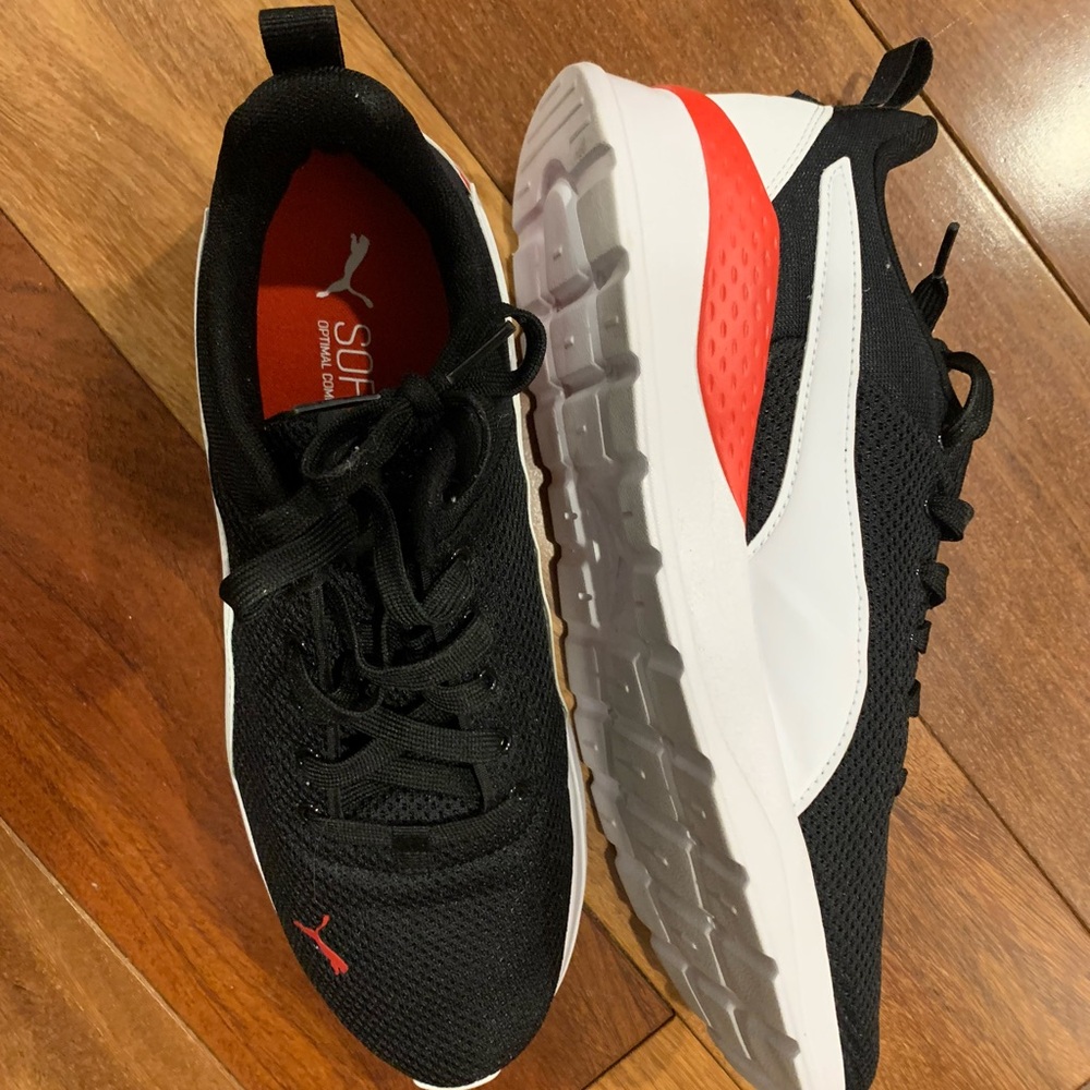 Pumas